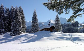 A snowy landscape with tall fir trees and a small wooden house. In the background, the snow-covered mountains and a clear blue sky can be seen.