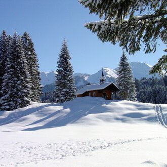 A snowy landscape with tall fir trees and a small wooden house. In the background, the snow-covered mountains and a clear blue sky can be seen.