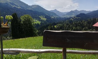 Eine idyllische Berglandschaft mit grünen Wiesen und hohen Bergen im Hintergrund. Im Vordergrund ist eine Holzbank mit einem Tisch zu sehen. | © Alpe Hinterenge1 | Nicole Lughammer