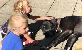 Two children are playing with a large dog that is lying relaxed on the ground. The sun is shining and the atmosphere is friendly and cheerful.
