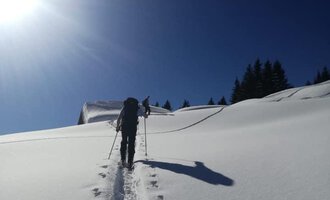 A hiker climbs a snow-covered slope under a clear blue sky. Sunlight reflects off the white snow, while the path is visible.