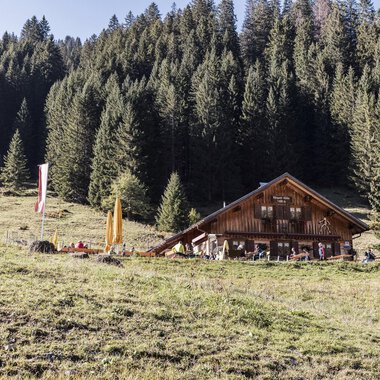 A wooden house in the mountains surrounded by trees. In the foreground, a meadow and flags can be seen. | © Kleinwalsertal Tourismus | Bastian Morell