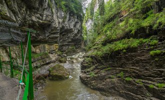 Eine malerische Schlucht mit steilen Felsen und einem fließenden Bach. Üppiges Grün umgibt die Umgebung und schafft eine ruhige Atmosphäre. | © Kleinwalsertal Tourismus |  Steffen Berschin