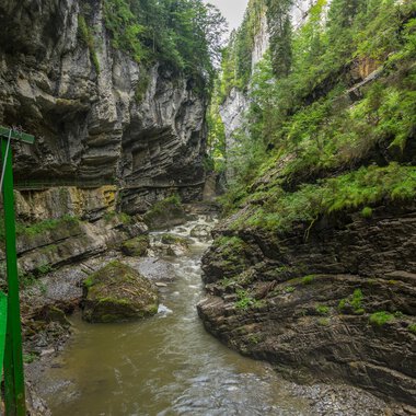 Eine malerische Schlucht mit steilen Felsen und einem fließenden Bach. Üppiges Grün umgibt die Umgebung und schafft eine ruhige Atmosphäre. | © Kleinwalsertal Tourismus |  Steffen Berschin
