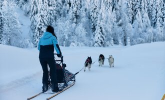 Eine Person zieht einen Schlitten durch schneebedeckte Landschaft. Im Hintergrund sind schneebedeckte Bäume zu sehen. | © Kleinwalsertal Tourismus | Oliver Farys