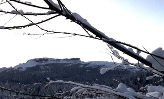 Eine winterliche Landschaft mit schneebedecktem Boden und kahlen Ästen. Im Hintergrund sind schneebedeckte Berge und ein klarer Himmel zu sehen. | © Panoramahütte