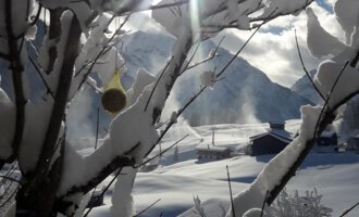 Ein verschneiter Baum vor einer malerischen Berglandschaft. Die Sonne strahlt hell durch die Zweige und reflektiert auf dem Schnee. | © Panoramahütte