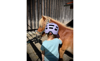 A child with a bicycle helmet stands next to a small horse. The background shows a wooden wall and it is sunny.