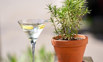An elegant martini in a glass stands next to a pot of fresh rosemary. In the background, blurred green plants are visible. | © Hotel Tradizio | © Annette Sandner