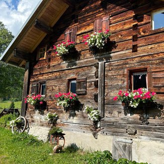 Ein charmantes Holzhaus mit blühenden Pflanzen vor den Fenstern. Das Gebäude ist umgeben von grüner Wiese und Bäumen. | © Untere Wiesalpe | Jennifer Opitz