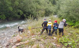 A group of children is standing by the bank of a river and tugging on a stick. In the background, trees and the flowing water can be seen. | © Wildnisschule Kleinwalsertal