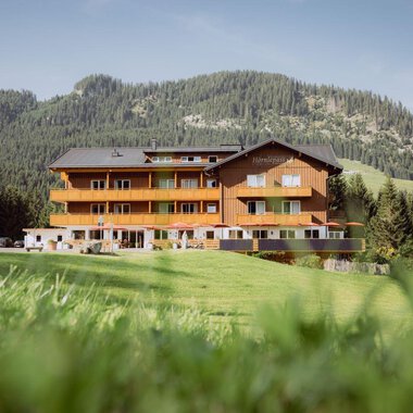 A cozy wooden house amidst green meadows and surrounded by mountains. The sunny surroundings invite relaxation.