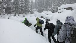 Geführte Schneeschuhtour  | ©  Kleinwalsertal Tourismus eGen | Fotograf: Antje Pabst