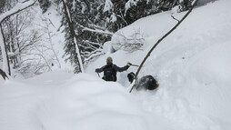 Schneeschuhtour mit Hund | ©  Kleinwalsertal Tourismus eGen | Fotograf: Antje Pabst