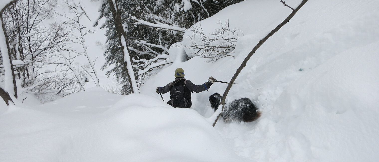 Schneeschuhtour mit Hund | ©  Kleinwalsertal Tourismus eGen | Fotograf: Antje Pabst