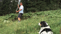 Heuen mit der Sense  | © Kleinwalsertal Tourismus eGen 