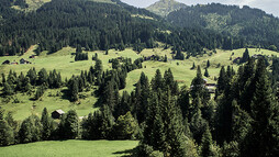 Sommer im Kleinwalsertal | © Kleinwalsertal Tourismus eGen 