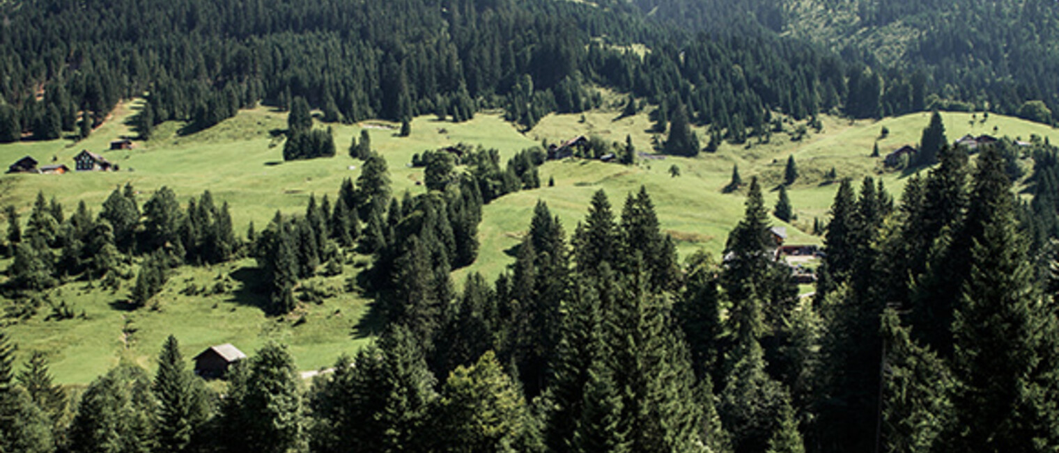 Sommer im Kleinwalsertal | © Kleinwalsertal Tourismus eGen 