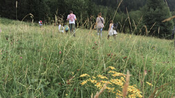 Wandern mit Familie | © Kleinwalsertal Tourismus eGen 