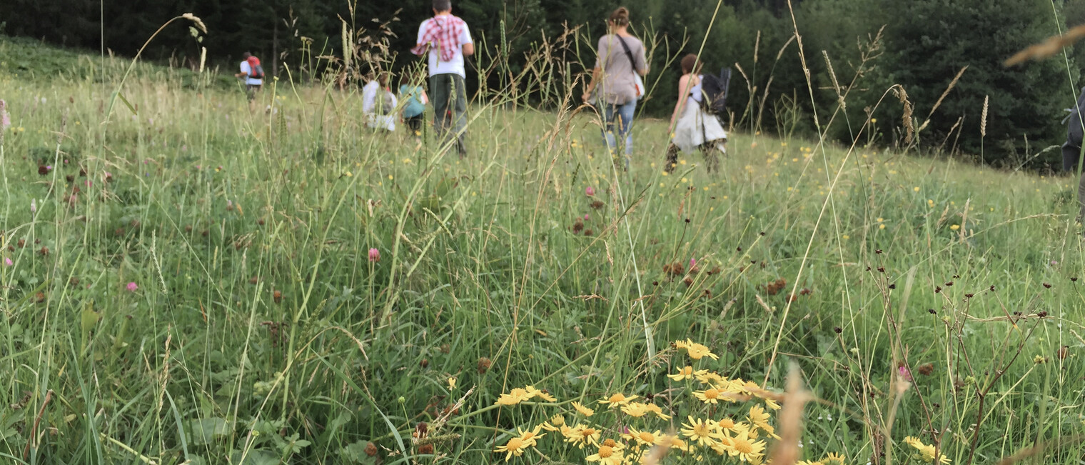 Wandern mit Familie | © Kleinwalsertal Tourismus eGen 