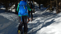 Skitour durch den Wald | © Kleinwalsertal Tourismus eGen