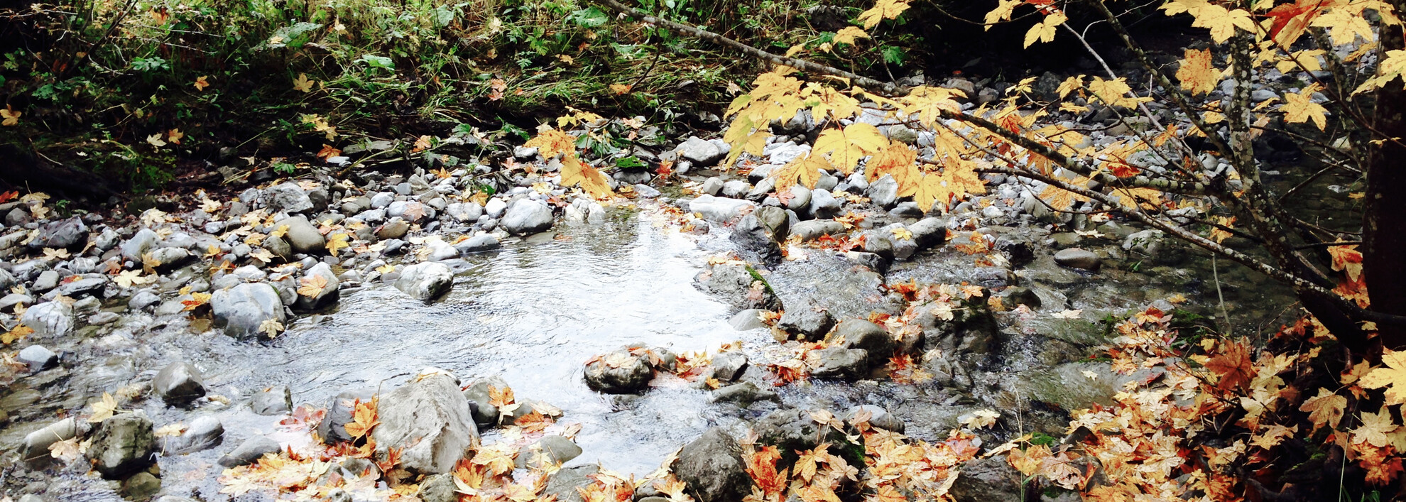 Herbst im Kleinwalsertal | © Kleinwalsertal Tourismus eGen