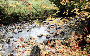 Herbst im Kleinwalsertal | © Kleinwalsertal Tourismus eGen