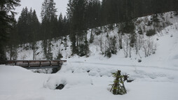 View on the gourmet snowshoe tour with Herbert Edlinger | © Kleinwalsertal Tourismus eGen | Photographer: Antje Pabst