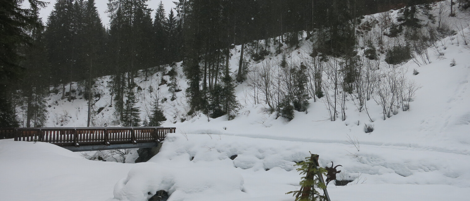 Ausblick bei der Genuss-Schneeschuhtour mit Herbert Edlingera | © Kleinwalsertal Tourismus eGen | Fotograf: Antje Pabst