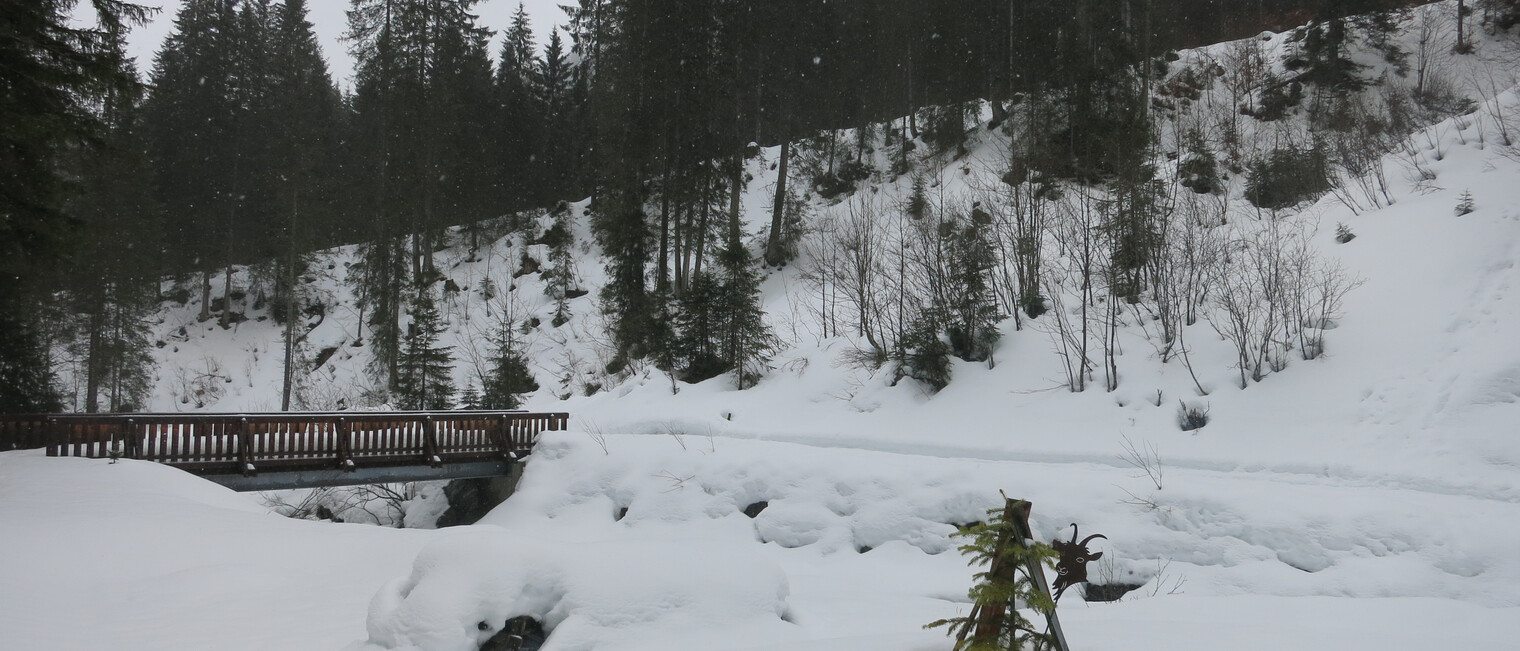 View on the gourmet snowshoe tour with Herbert Edlinger | © Kleinwalsertal Tourismus eGen | Photographer: Antje Pabst