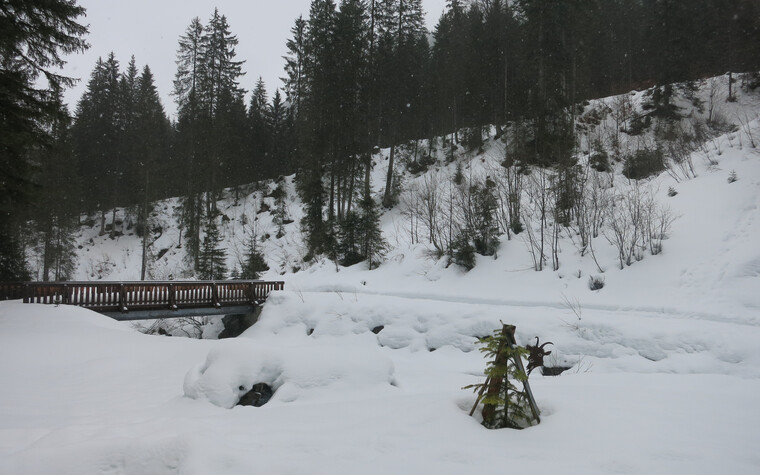 View on the gourmet snowshoe tour with Herbert Edlinger | © Kleinwalsertal Tourismus eGen | Photographer: Antje Pabst