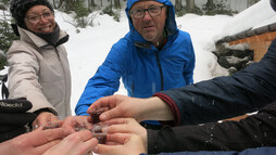 Genuss-Schneeschuhtour mit Herbert Edlingera | © Kleinwalsertal Tourismus eGen | Fotograf: Antje Pabst