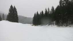 Ausblick bei der Genuss-Schneeschuhtour mit Herbert Edlingera | © Kleinwalsertal Tourismus eGen | Fotograf: Antje Pabst