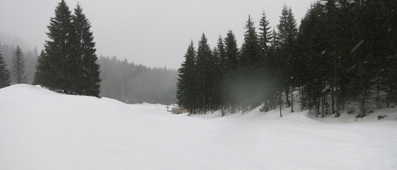 Ausblick bei der Genuss-Schneeschuhtour mit Herbert Edlingera | © Kleinwalsertal Tourismus eGen | Fotograf: Antje Pabst