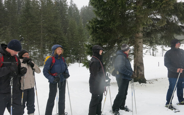 Genuss-Schneeschuhtour | © Kleinwalsertal Tourismus eGen | Fotograf: Antje Pabst
