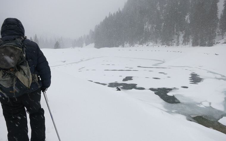 Genuss-Schneeschuhtour mit Herbert Edlinger | © Kleinwalsertal Tourismus eGen | Fotograf: Antje Pabst
