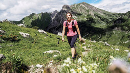 Rund um den Widderstein  | © Kleinwalsertal Tourismus eGen | Fotograf: Dominik Berchtold