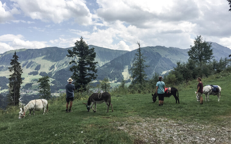 Eselwandern im Kleinwalsertal | © Kleinwalsertal Tourismus | Fotograf: Carolin Schratt
