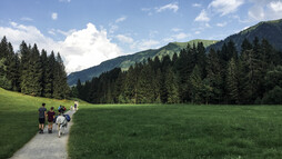 Eselwandern durch die Au/Wäldele | © Kleinwalsertal Tourismus | Fotograf: Carolin Schratt