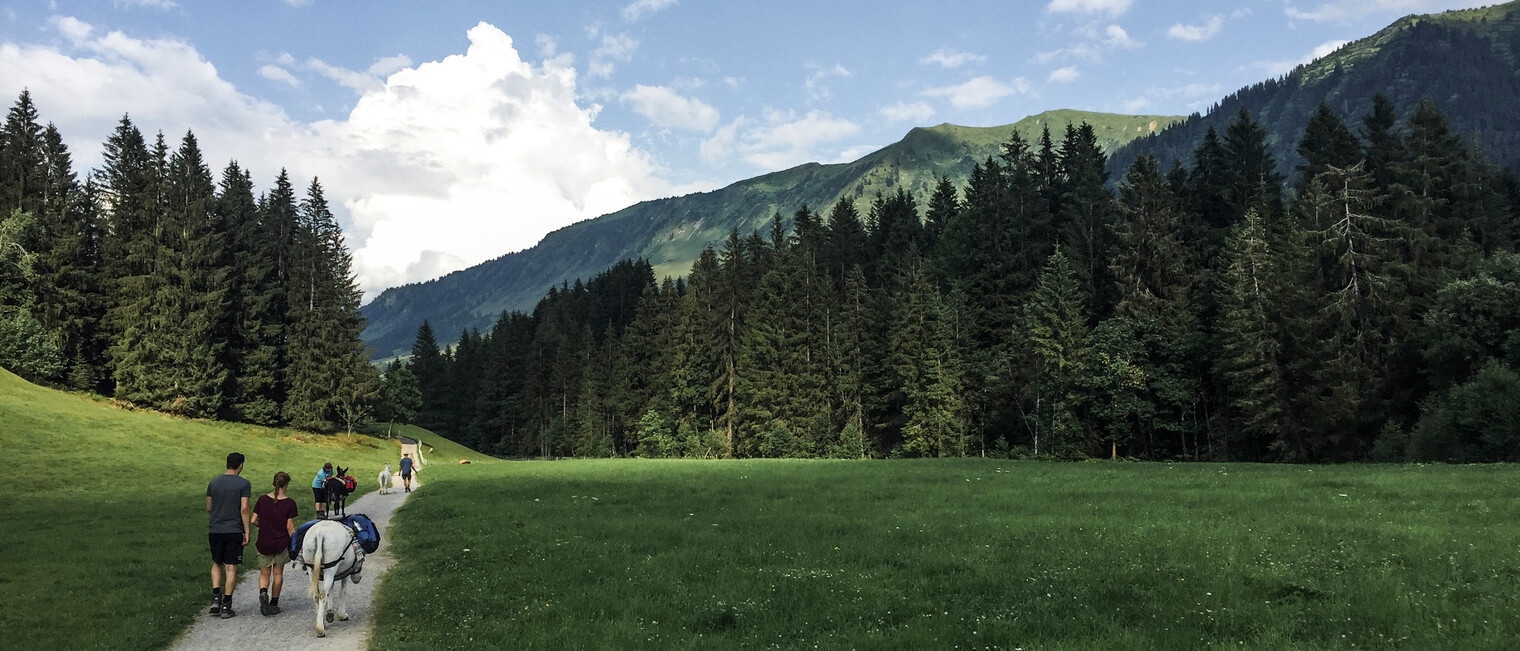 Eselwandern durch die Au/Wäldele | © Kleinwalsertal Tourismus | Fotograf: Carolin Schratt