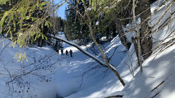 Schneeschuhtour Schwarzwassertal | © Kleinwalsertal Tourismus | Fotograf: Katharina Kleiter 