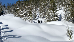 Schneeschuhtour Schwarzwassertal | © Kleinwalsertal Tourismus | Fotograf: Katharina Kleiter