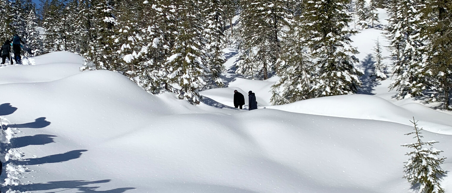 Schneeschuhtour Schwarzwassertal | © Kleinwalsertal Tourismus | Fotograf: Katharina Kleiter