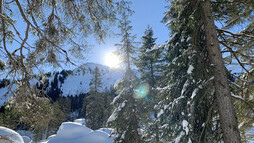 Snowshoe Tour Schwarzwassertal | © Kleinwalsertal Tourismus | Photographer: Katharina Kleiter 