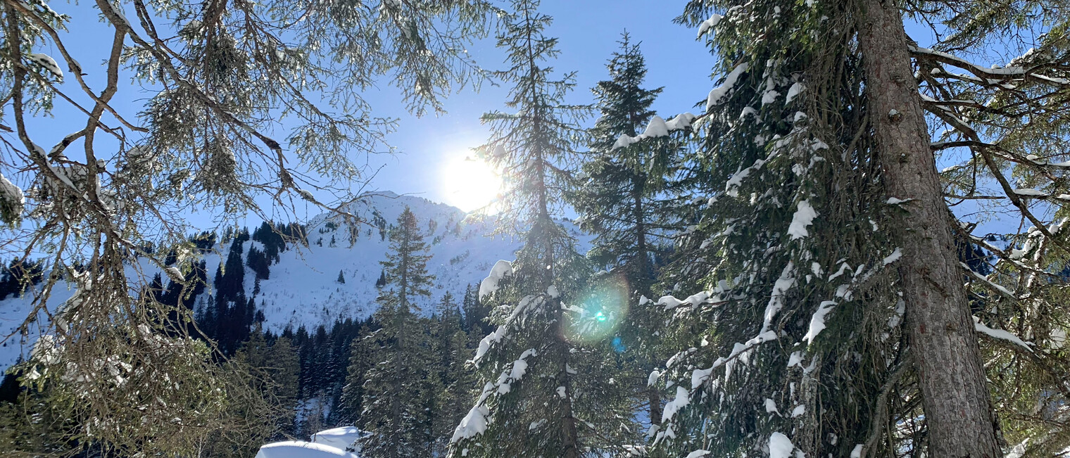 Schneeschuhtour Schwarzwassertal | © Kleinwalsertal Tourismus | Fotograf: Katharina Kleiter 