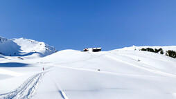 Schneeschuhtour Schwarzwassertal | © Kleinwalsertal Tourismus | Fotograf: Katharina Kleiter 