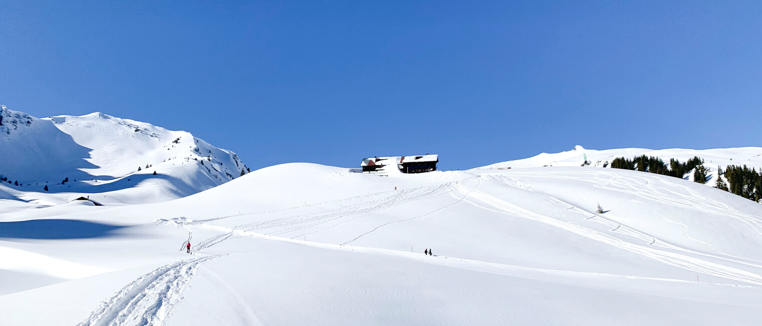 Schneeschuhtour Schwarzwassertal | © Kleinwalsertal Tourismus | Fotograf: Katharina Kleiter 