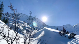 Schneeschuhtour Schwarzwassertal | © Kleinwalsertal Tourismus | Fotograf: Katharina Kleiter 