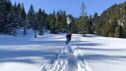 Schneeschuhtour Schwarzwassertal | © Kleinwalsertal Tourismus | Fotograf: Katharina Kleiter 