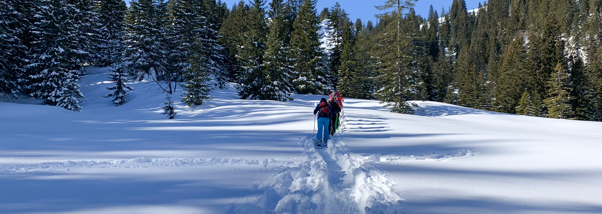 Schneeschuhtour Schwarzwassertal | © Kleinwalsertal Tourismus | Fotograf: Katharina Kleiter 